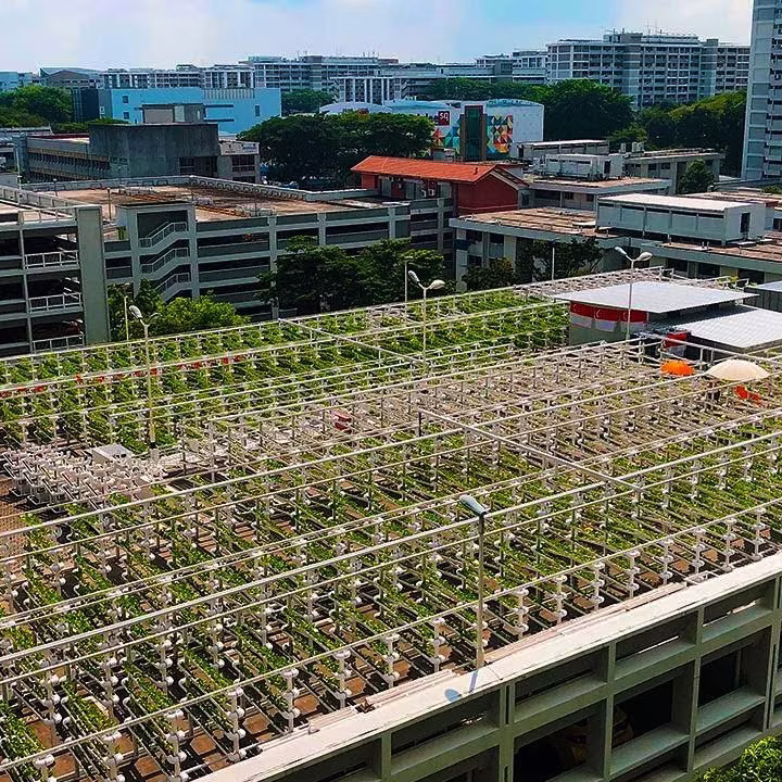 Cover – adaptive reuse into rooftop and vertical urban farm